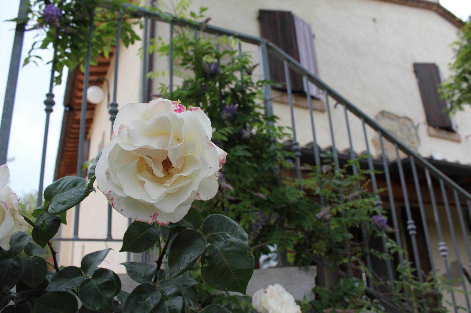 Agriturismo La Valle Del Vento Urbino Ngoại thất bức ảnh