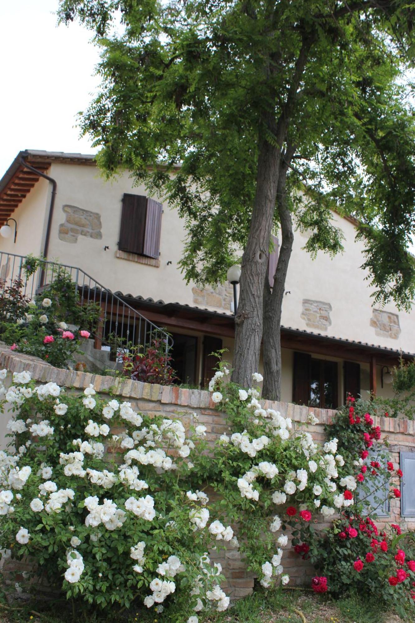 Agriturismo La Valle Del Vento Urbino Ngoại thất bức ảnh