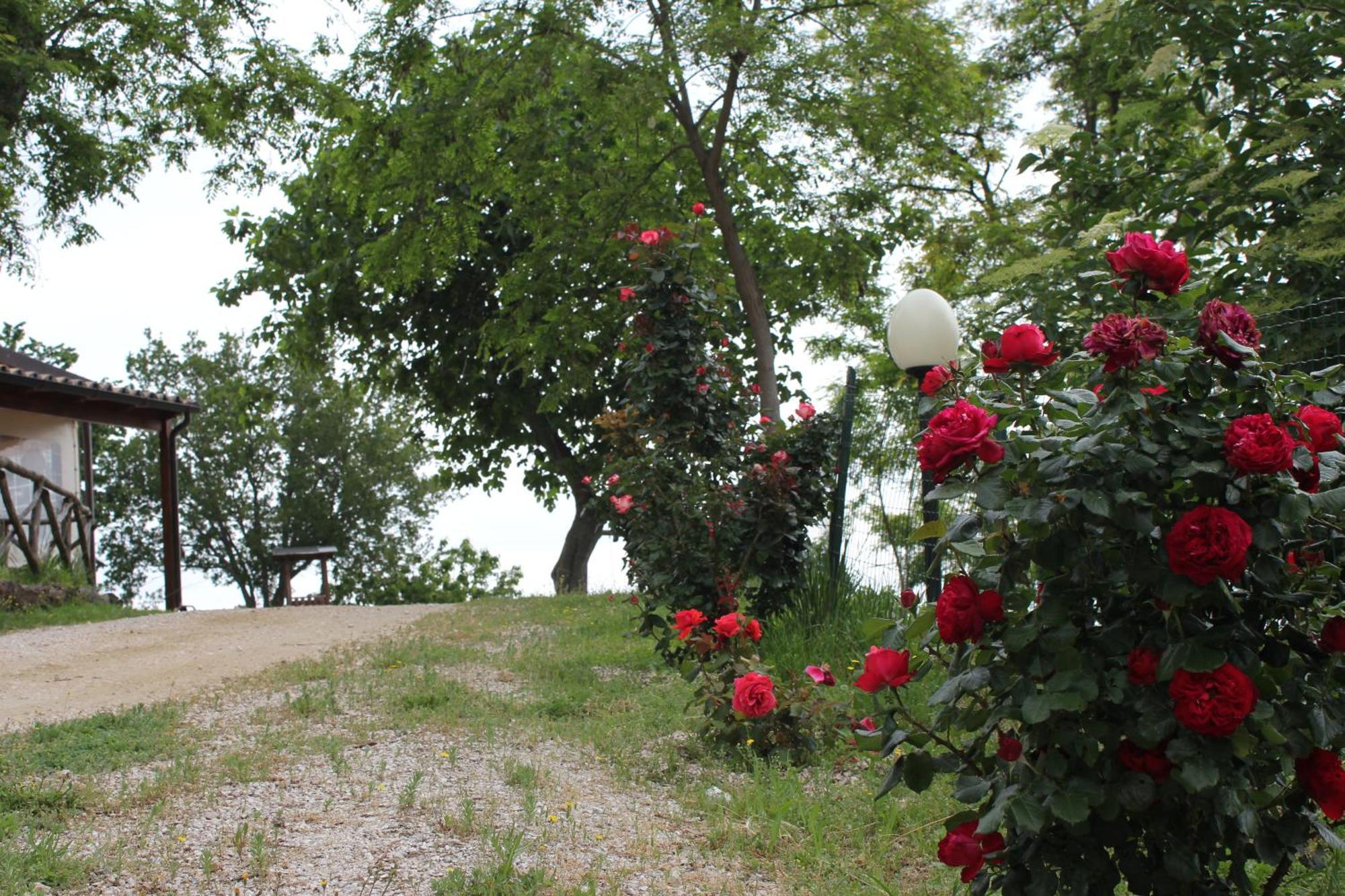 Agriturismo La Valle Del Vento Urbino Ngoại thất bức ảnh